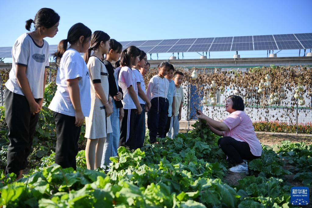 龙都国际游戏娱乐手机版